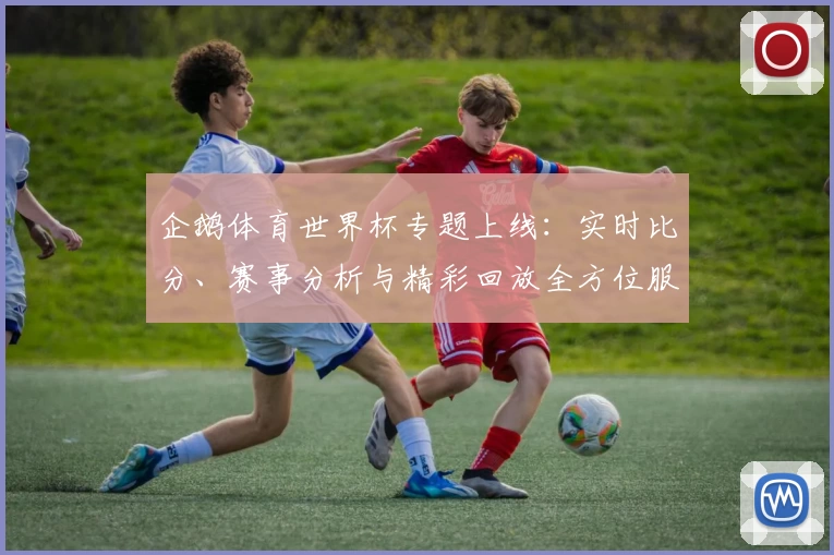 企鹅体育世界杯专题上线：实时比分、赛事分析与精彩回放全方位服务体验