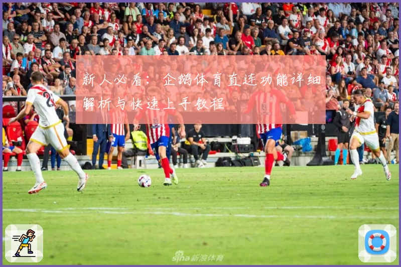 新人必看:企鹅体育直连功能详细解析与快速上手教程