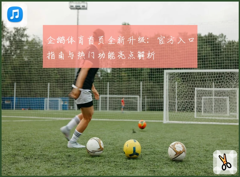 企鹅体育首页全新升级：官方入口指南与热门功能亮点解析