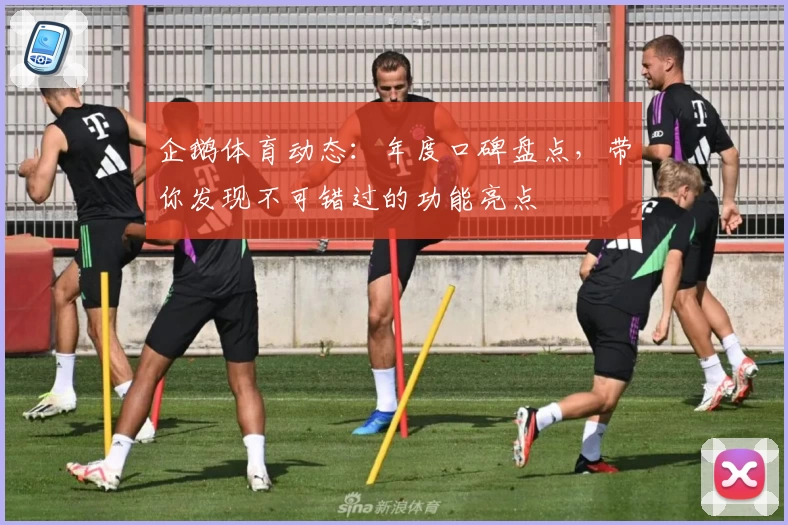 企鹅体育动态：年度口碑盘点，带你发现不可错过的功能亮点