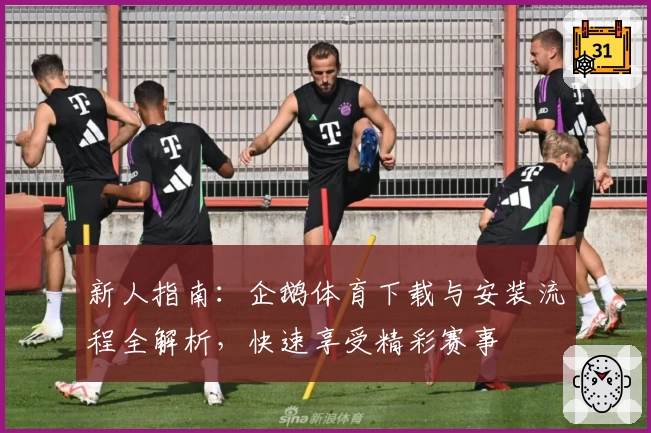 新人指南:企鹅体育下载与安装流程全解析,快速享受精彩赛事