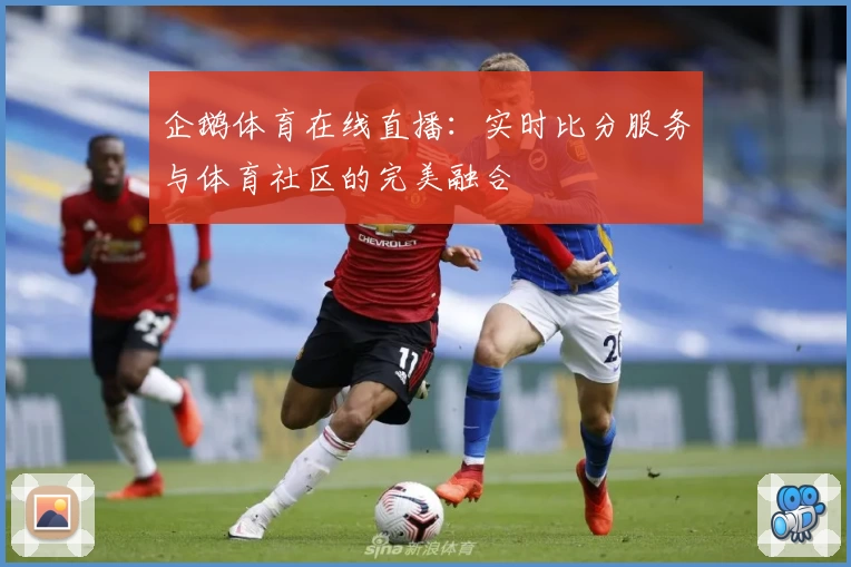 企鹅体育在线直播：实时比分服务与体育社区的完美融合