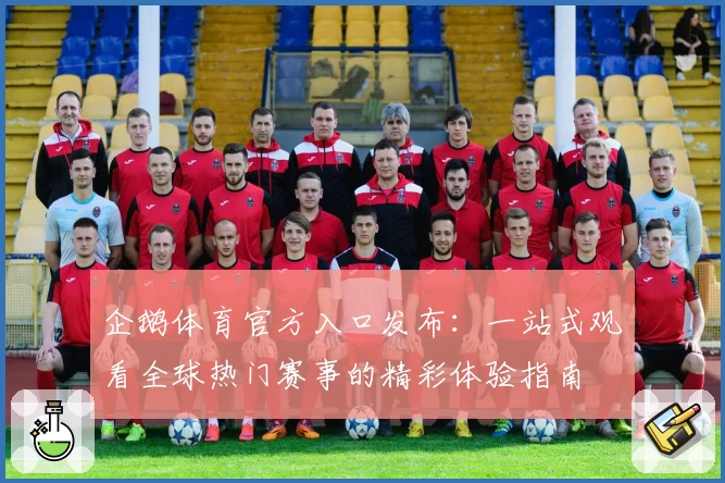 企鹅体育官方入口发布：一站式观看全球热门赛事的精彩体验指南