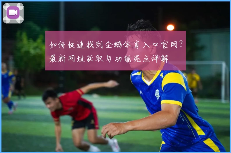 如何快速找到企鹅体育入口官网？最新网址获取与功能亮点详解