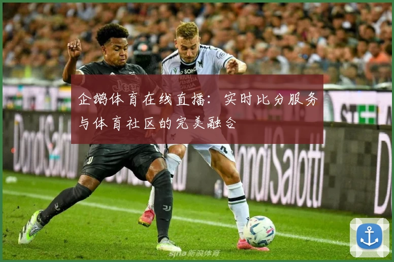 企鹅体育在线直播：实时比分服务与体育社区的完美融合