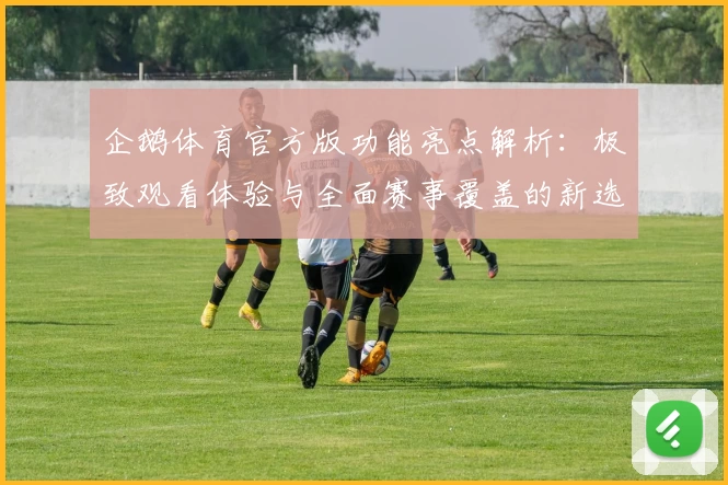 企鹅体育官方版功能亮点解析：极致观看体验与全面赛事覆盖的新选择