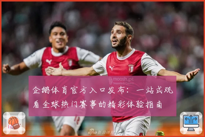 企鹅体育官方入口发布：一站式观看全球热门赛事的精彩体验指南